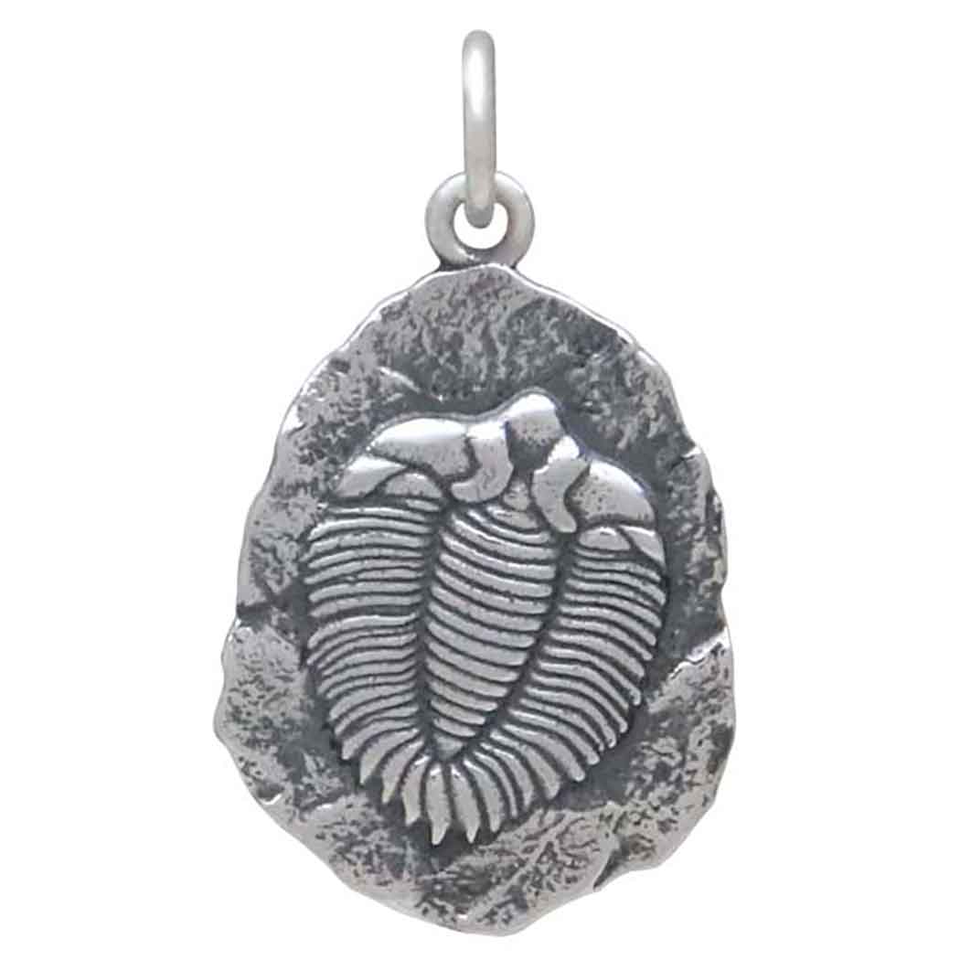 Sterling Silver Trilobite Fossil Pendant - Poppies Jewelry