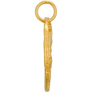 Ancient Coin Charm - Lion Head - Poppies Beads n' More